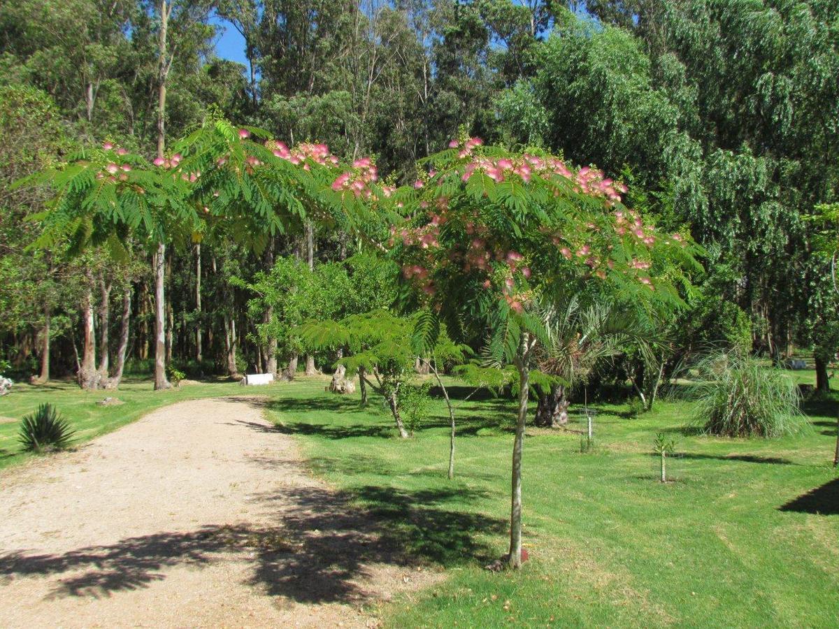La Posta De La Laguna La Paloma Luaran gambar