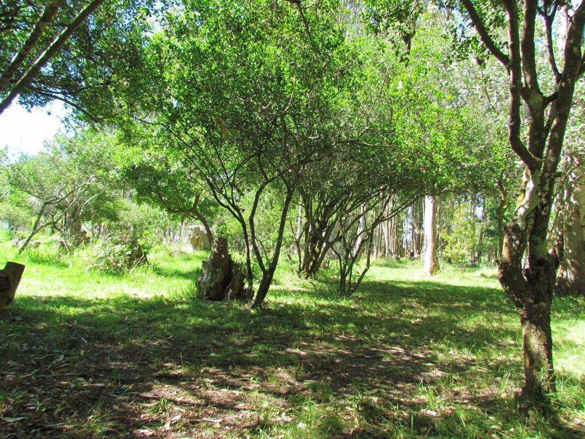 La Posta De La Laguna La Paloma Luaran gambar